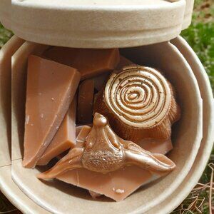 Brittle-n-bits Wax Melts